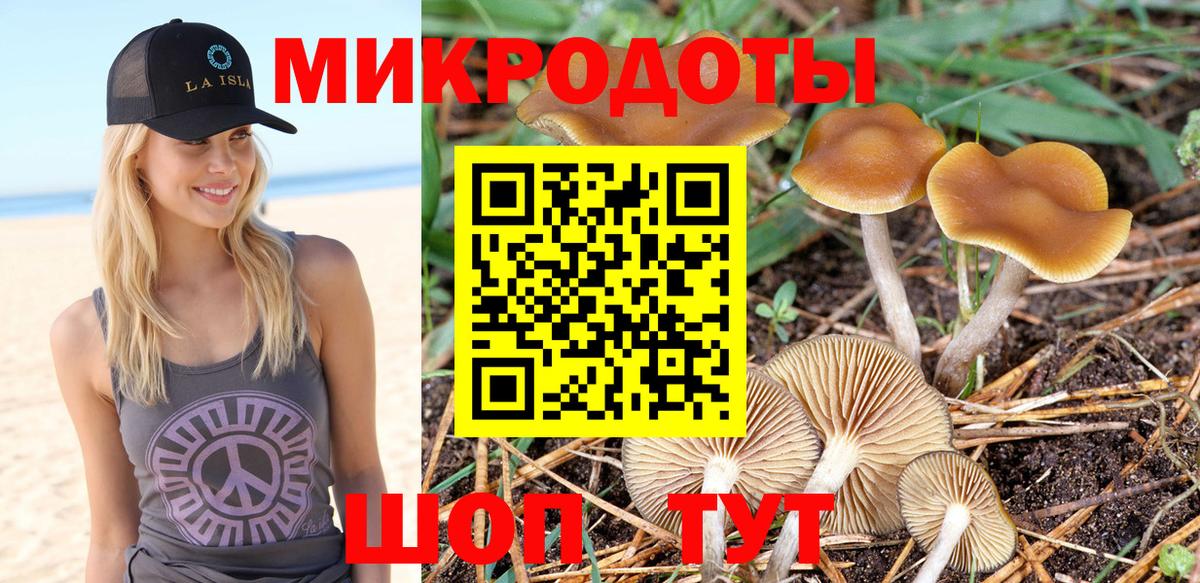 Псилоцибиновые грибы мицелий Ишим