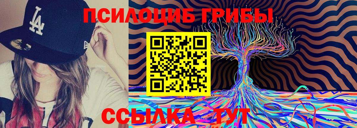 Псилоцибиновые грибы Magic Shrooms  купить  сайты  Ишим  Вход с VPN 
